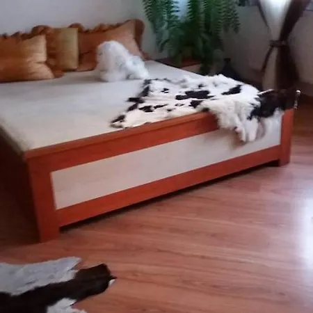 Akacjowa16 Апартаменты *